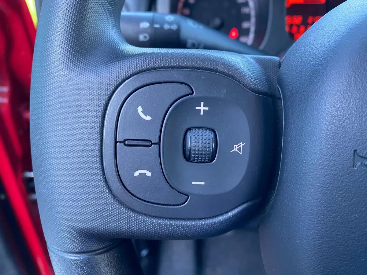 Fiat Panda Cross usata a Milano (13)