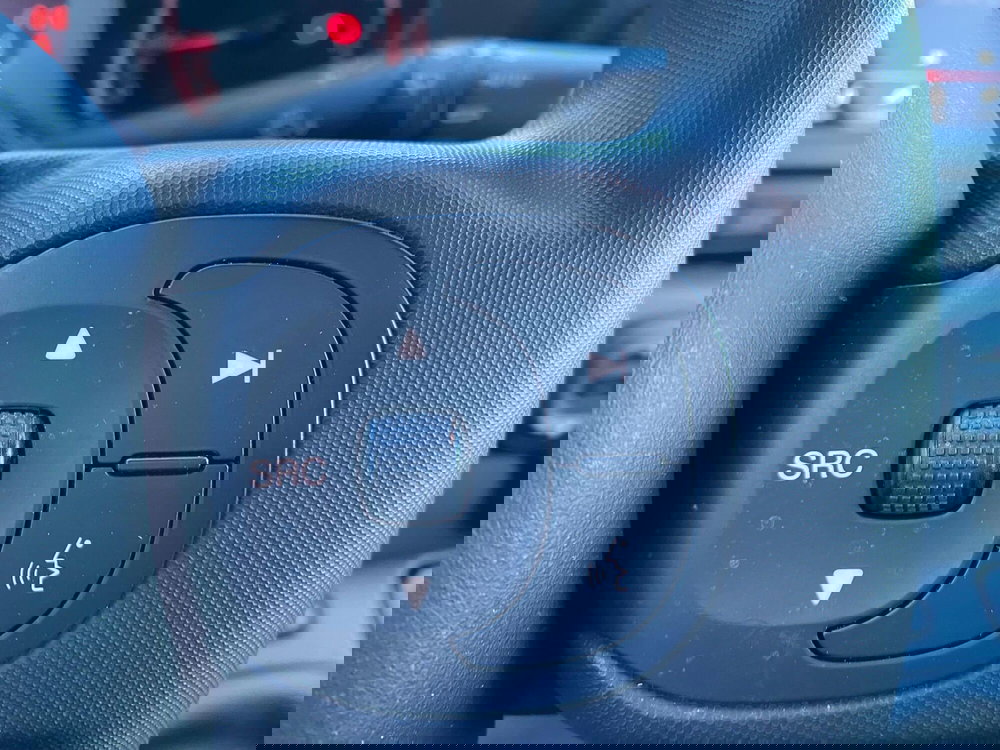 Fiat Panda Cross usata a Milano (14)