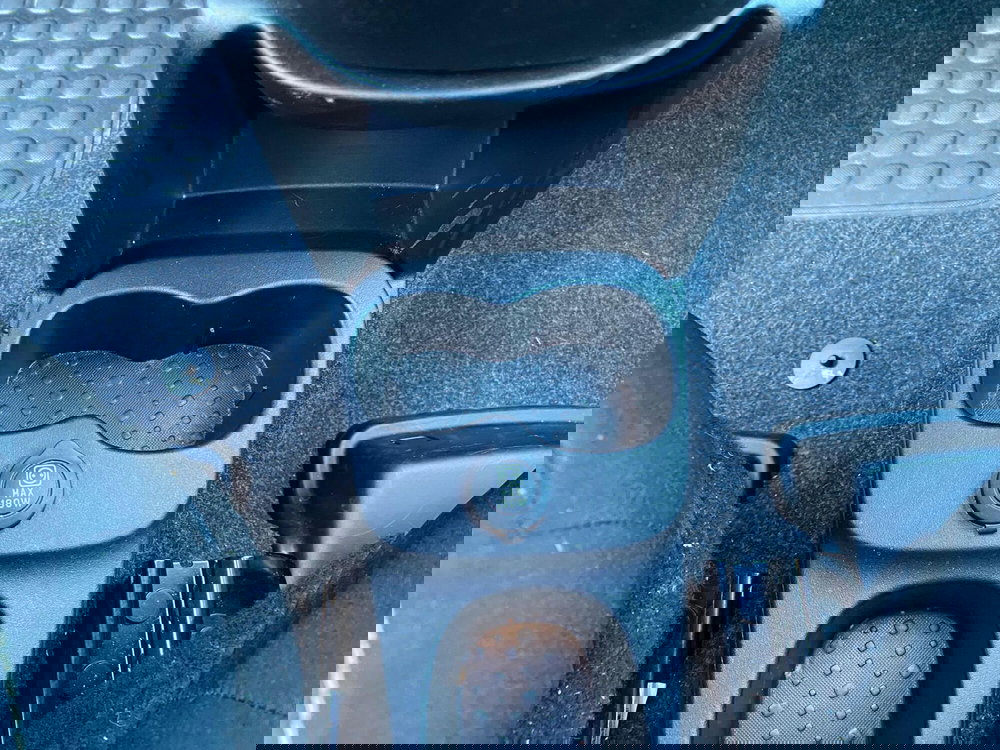 Fiat Panda Cross usata a Milano (19)