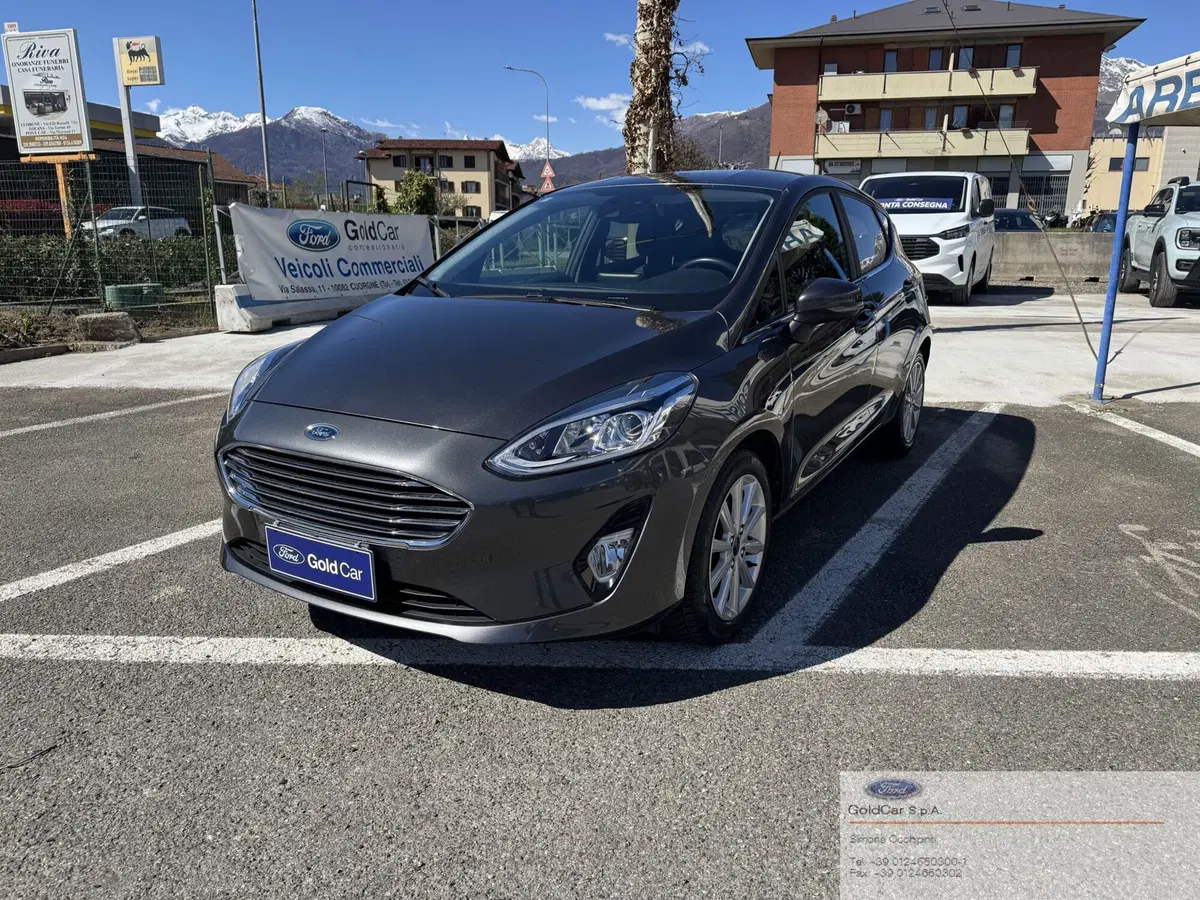 Ford Fiesta usata a Torino