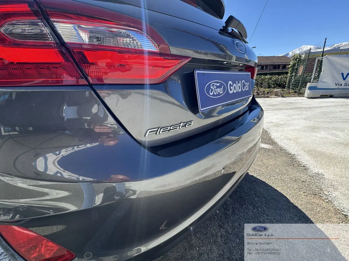 Ford Fiesta usata a Torino (18)