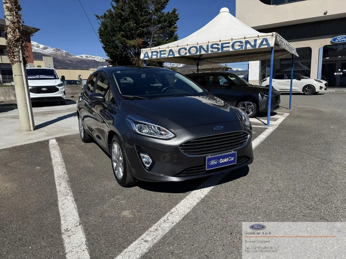 Ford Fiesta usata a Torino (2)
