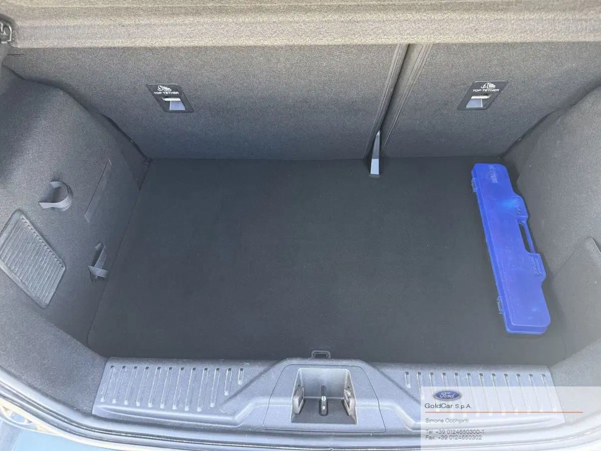 Ford Fiesta usata a Torino (7)