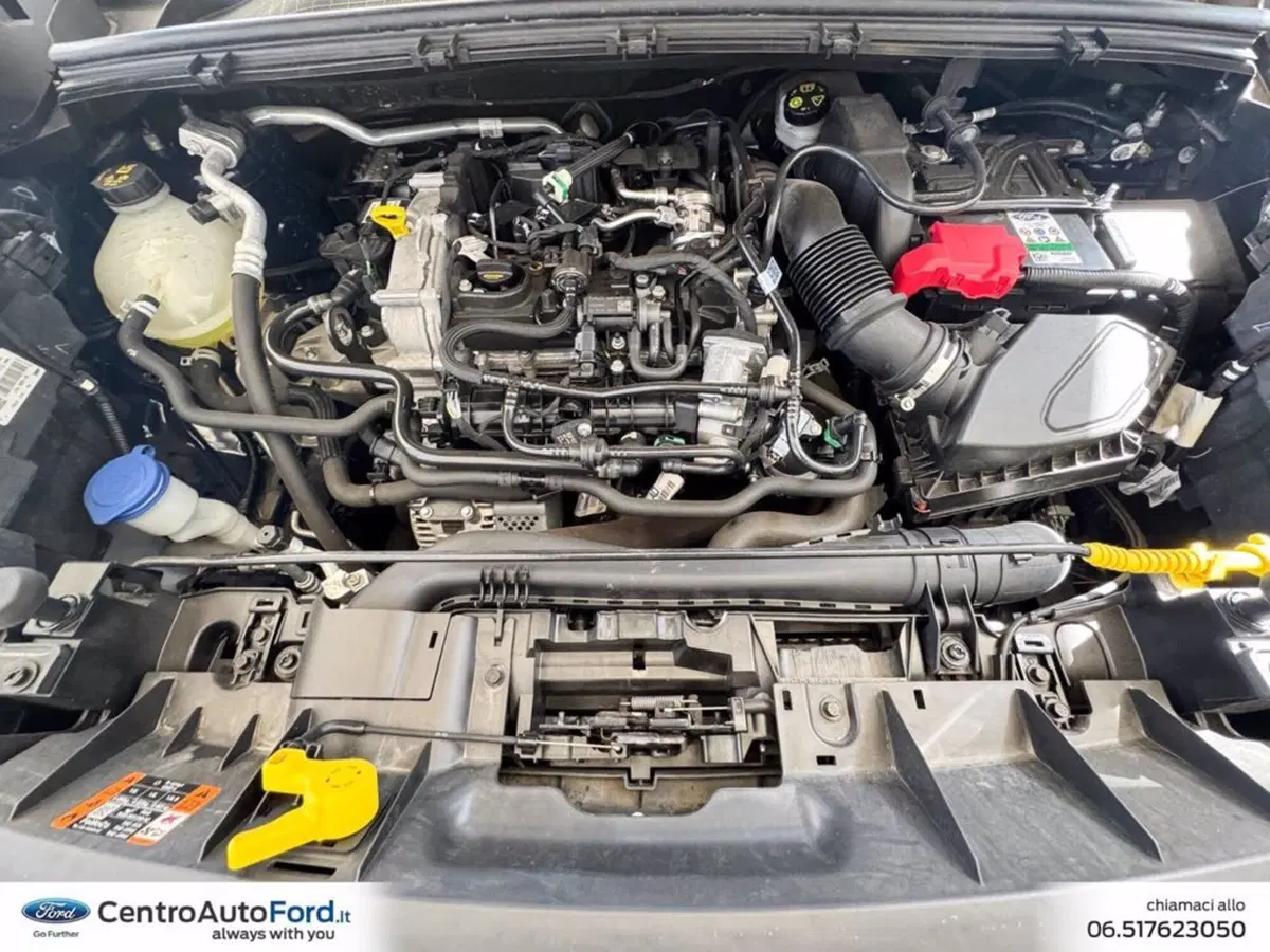 Ford Puma usata a Roma (12)