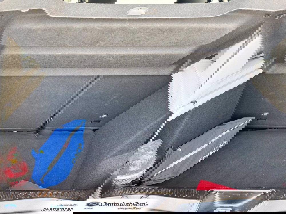 Dacia Sandero usata a Roma (11)