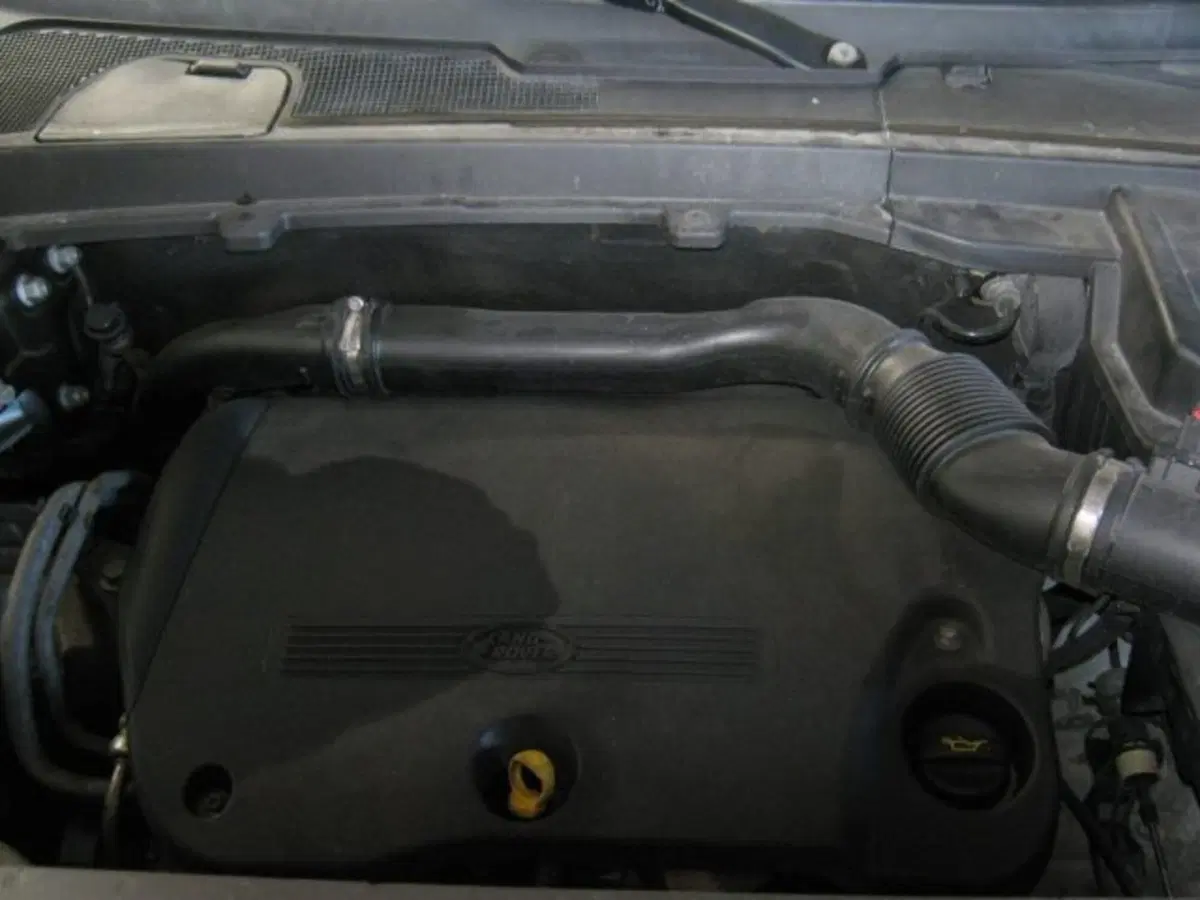 Land Rover Freelander usata a Fermo (18)
