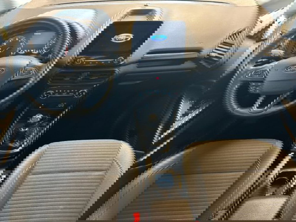 Ford EcoSport usata a Cuneo (10)