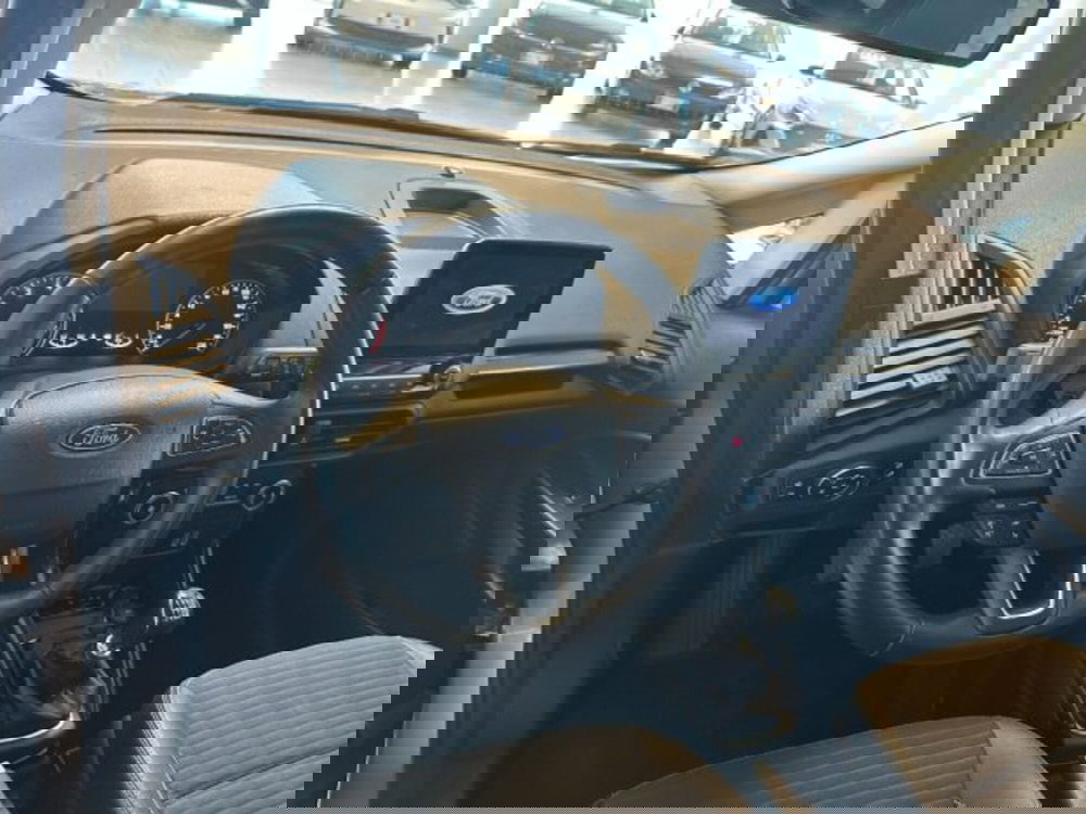 Ford EcoSport usata a Cuneo (9)