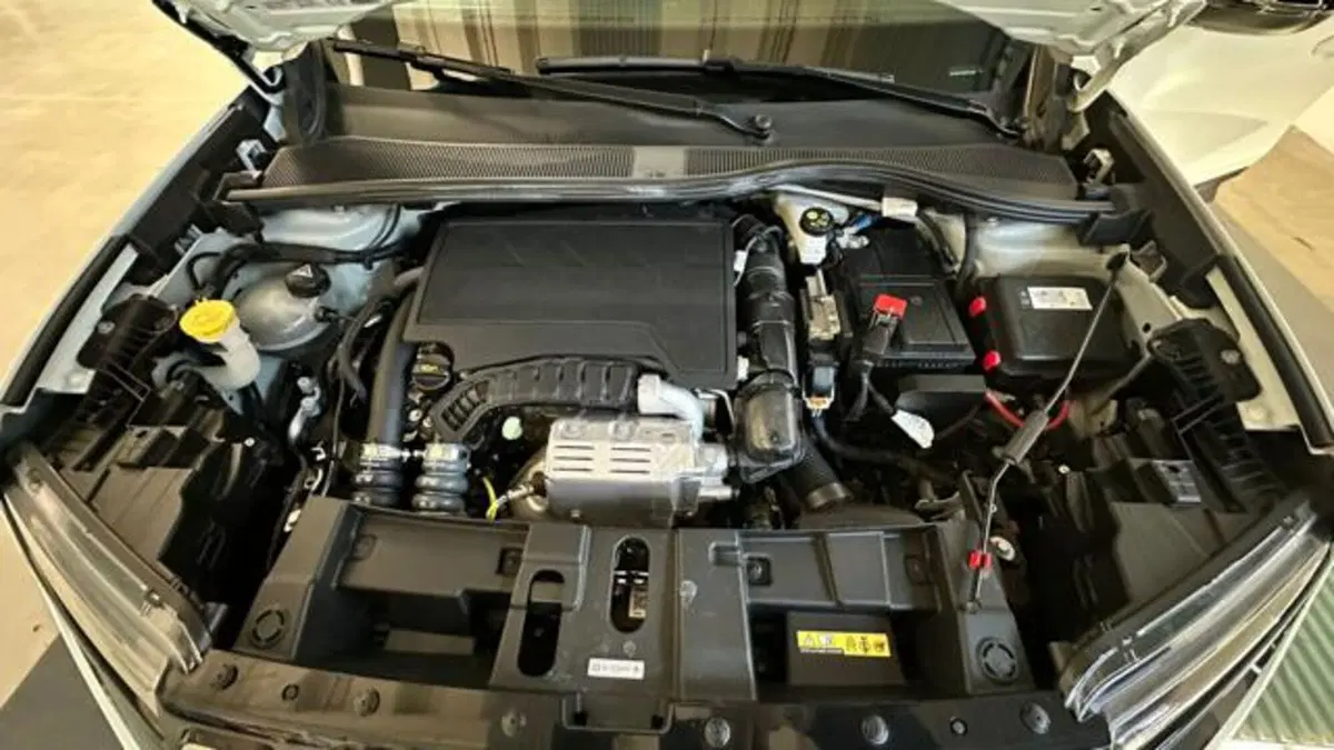 Jeep Avenger usata a Reggio Emilia (18)