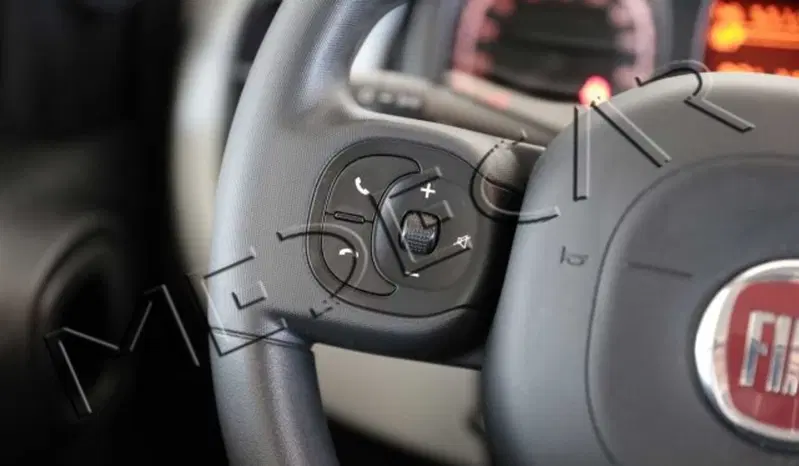 Fiat Panda usata a Potenza (11)