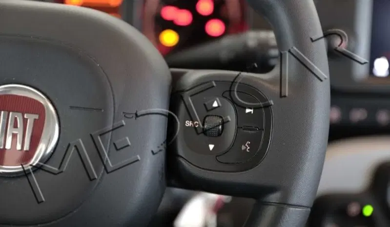 Fiat Panda usata a Potenza (12)
