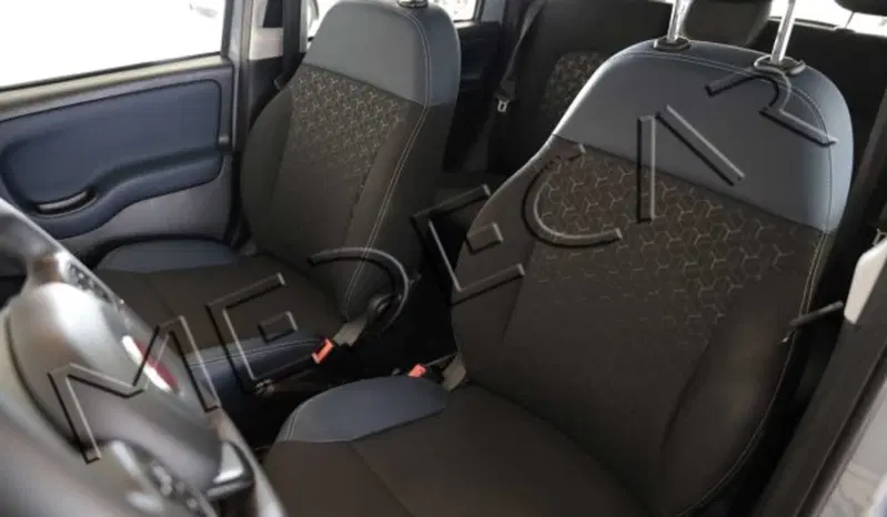 Fiat Panda usata a Potenza (9)