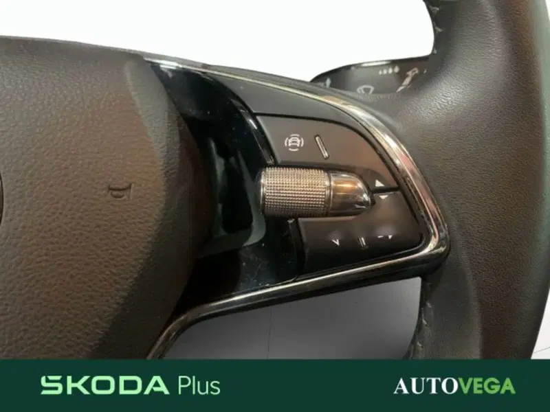 Skoda Karoq usata a Vicenza (9)
