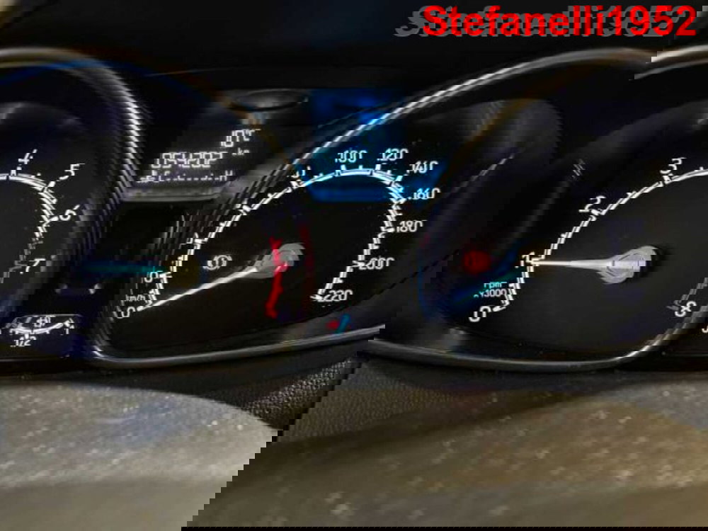 Ford EcoSport usata a Bologna (12)