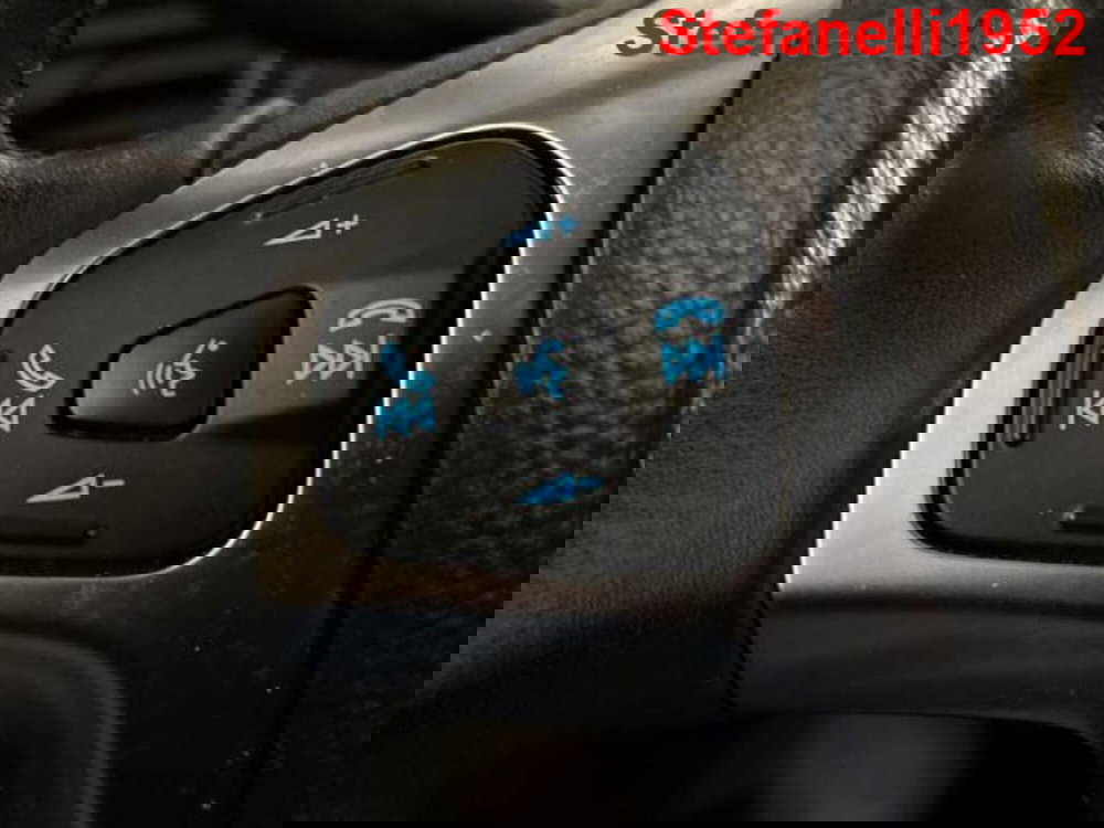 Ford EcoSport usata a Bologna (20)