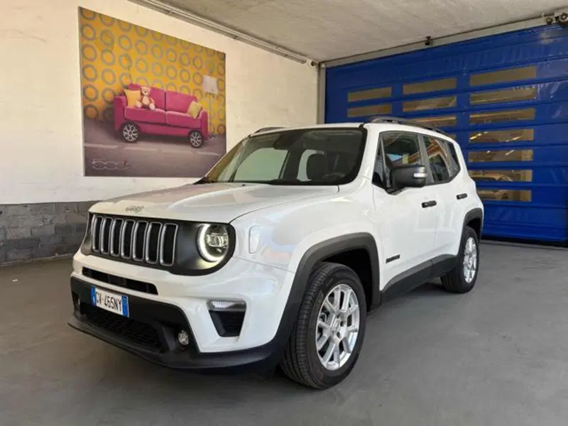 Jeep Renegade usata a Vercelli (3)
