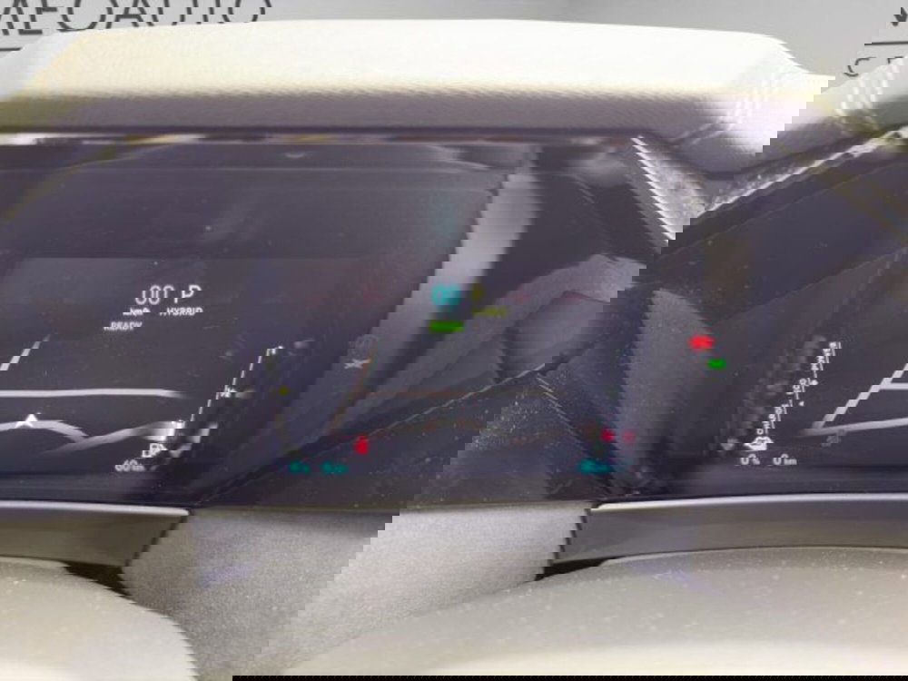 Ds DS 4 usata a Perugia (13)