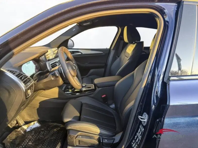 BMW X4 nuova a Perugia (2)
