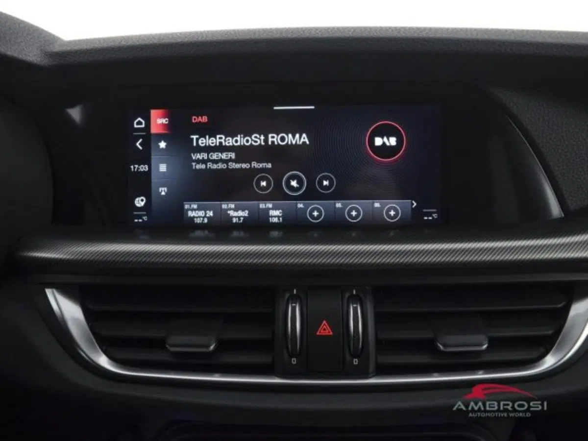 Alfa Romeo Stelvio usata a Perugia (14)