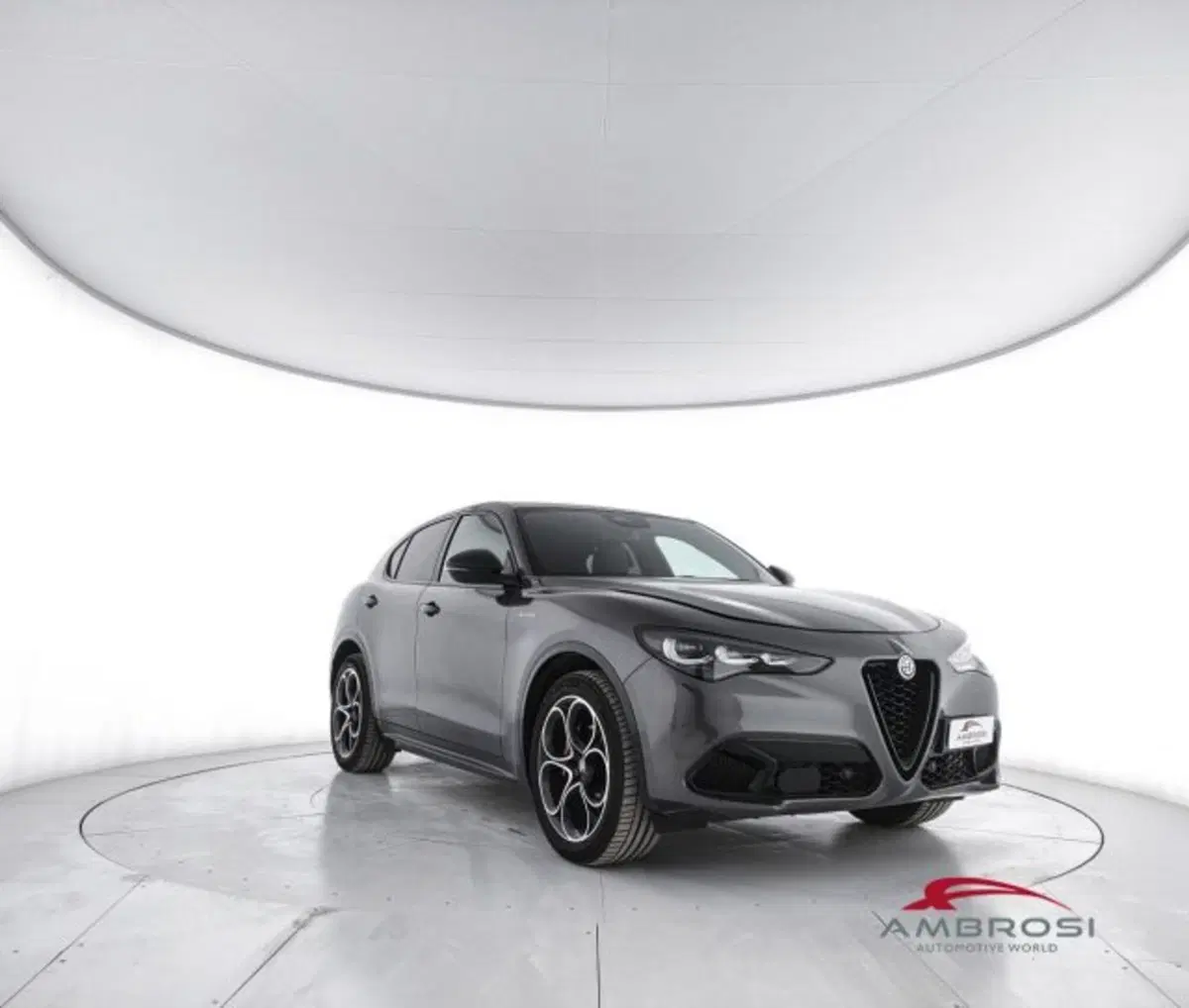 Alfa Romeo Stelvio usata a Perugia (2)