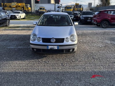 Volkswagen Polo 1.2 5p. Comfortline del 2003 usata a Corciano