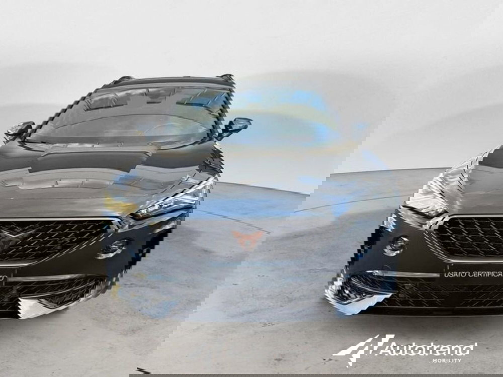 Cupra Formentor usata a Lecce (3)