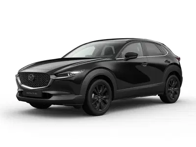Mazda CX-30 2.0 m-hybrid Homura 2wd 150cv 6at del 2023 usata a Bari