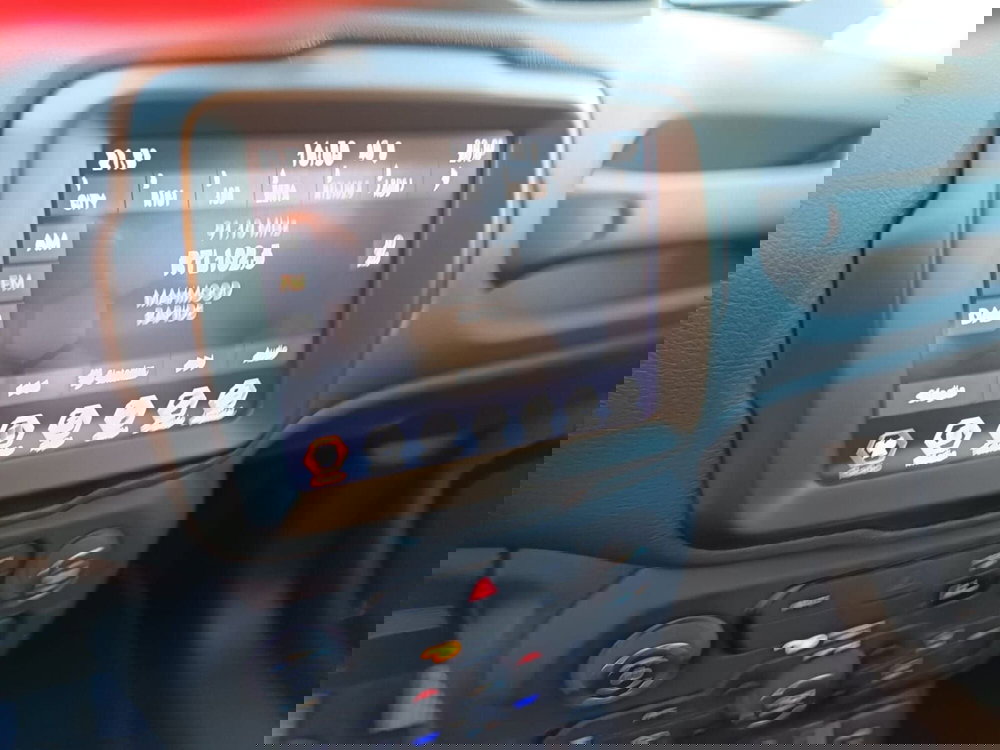 Jeep Renegade usata a Alessandria (17)