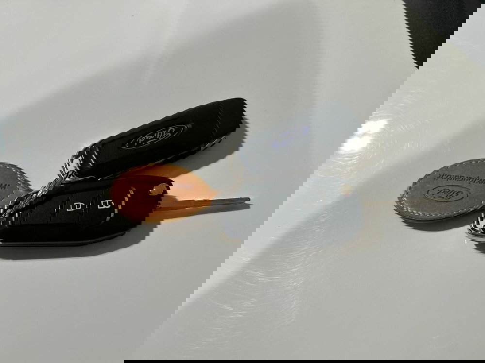 Ford EcoSport usata a Lecco (15)