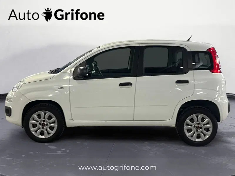 Fiat Panda usata a Modena (2)