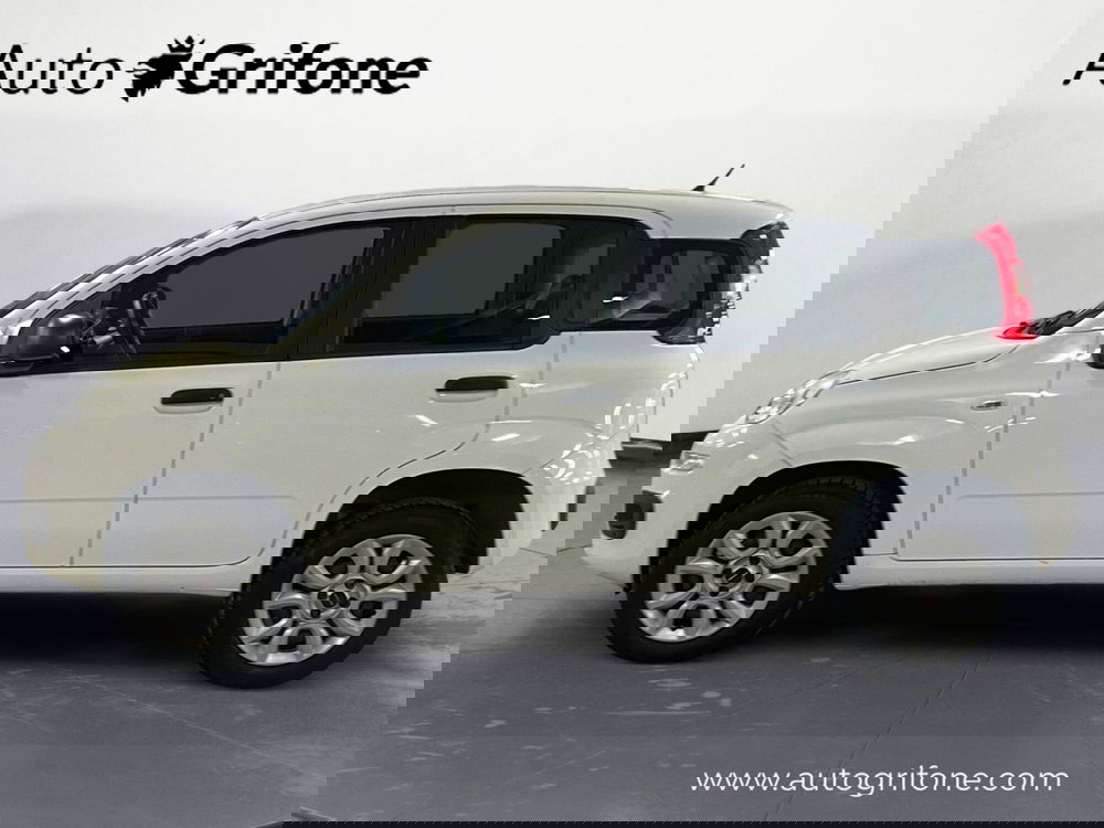 Fiat Panda usata a Modena (2)