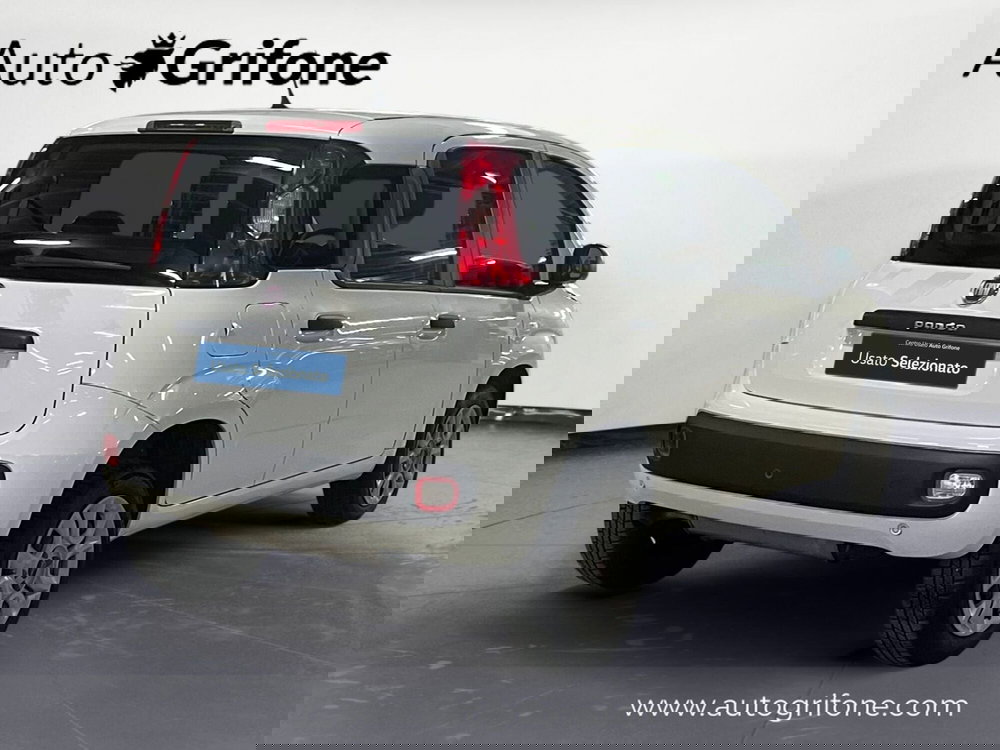 Fiat Panda usata a Modena (5)