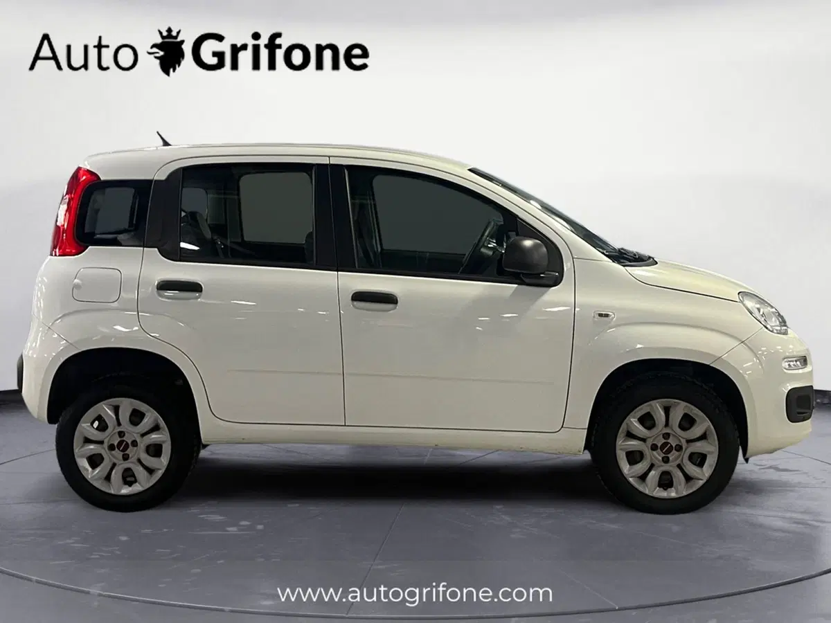 Fiat Panda usata a Modena (6)