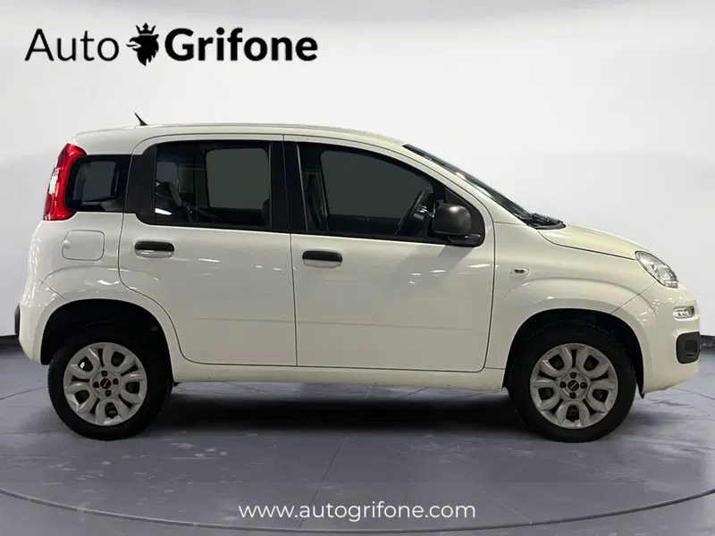 Fiat Panda usata a Modena (6)