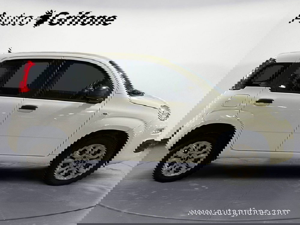 Fiat Panda usata a Modena (6)