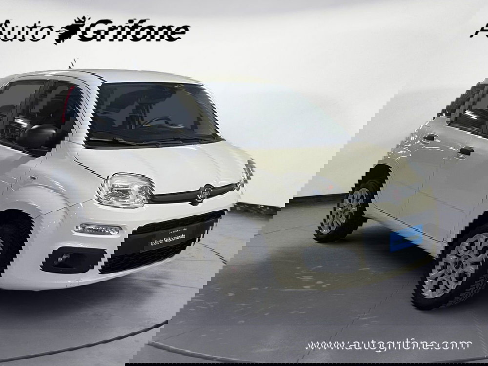 Fiat Panda usata a Modena (7)