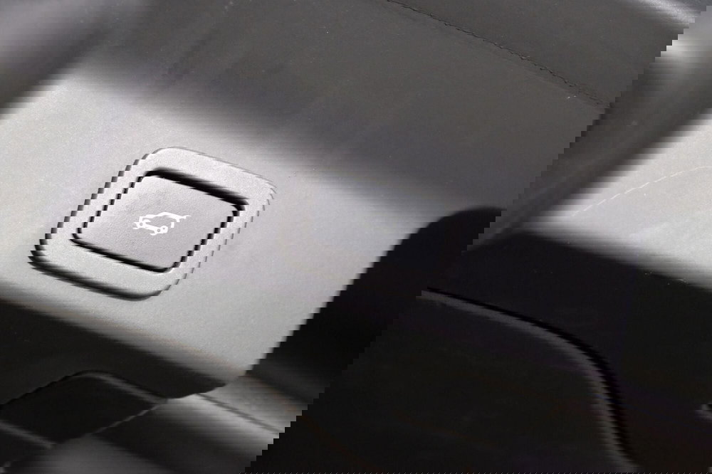 Jaguar F-Pace usata a Torino (20)