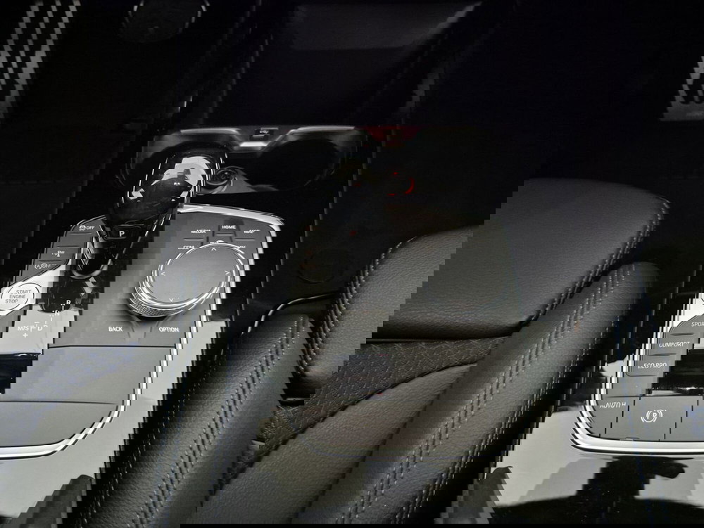 BMW Serie 1 usata a Torino (11)