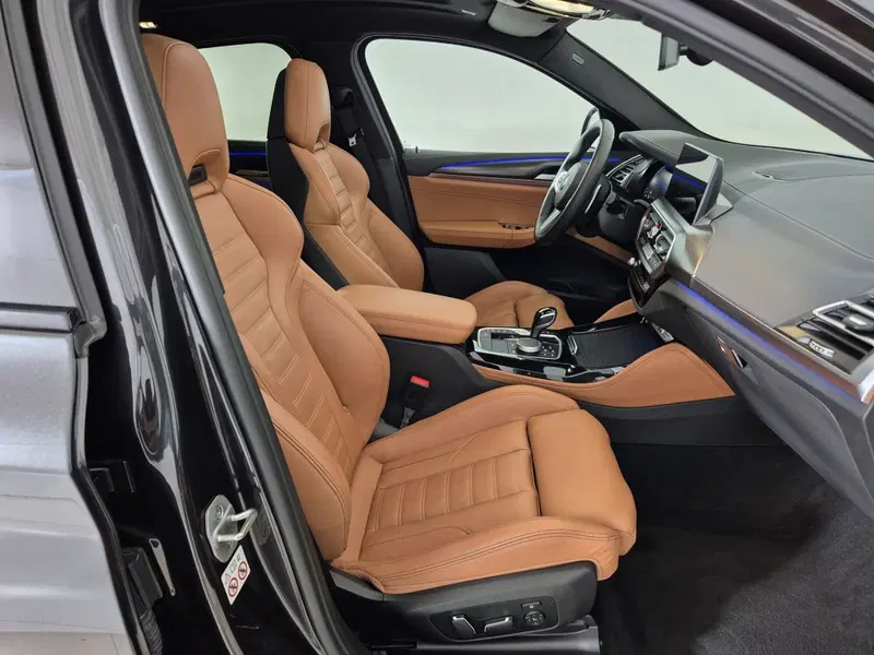 BMW X4 usata a Torino (10)