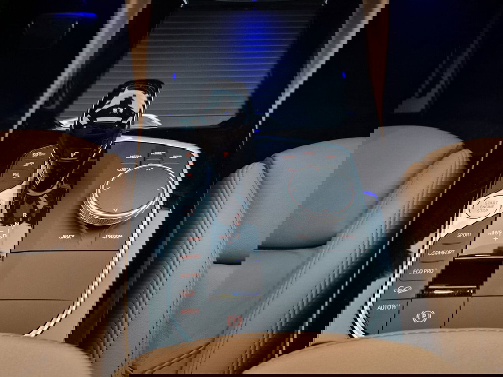 BMW X4 usata a Torino (11)