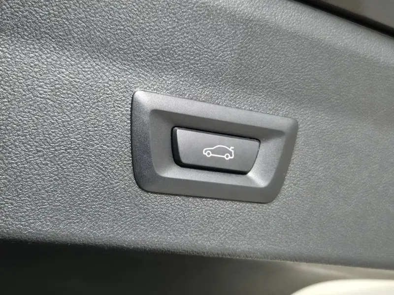 BMW X4 usata a Torino (20)