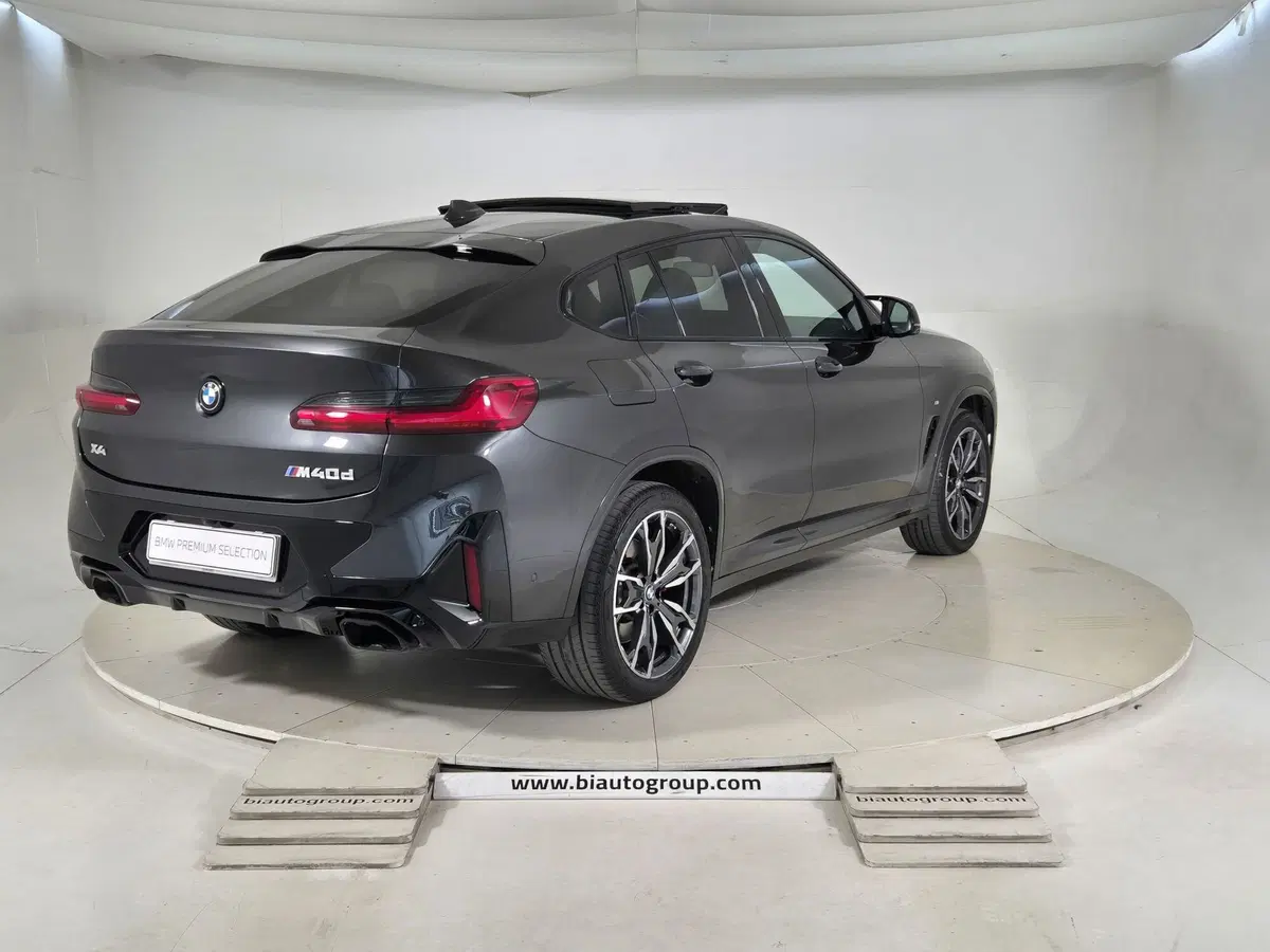 BMW X4 usata a Torino (5)