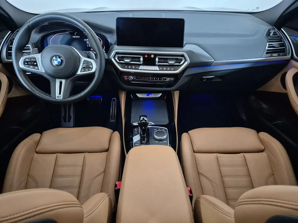 BMW X4 usata a Torino (9)