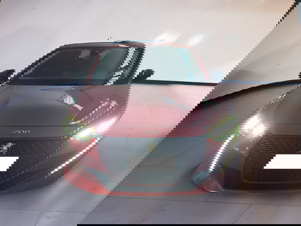 Peugeot 208 usata a Torino