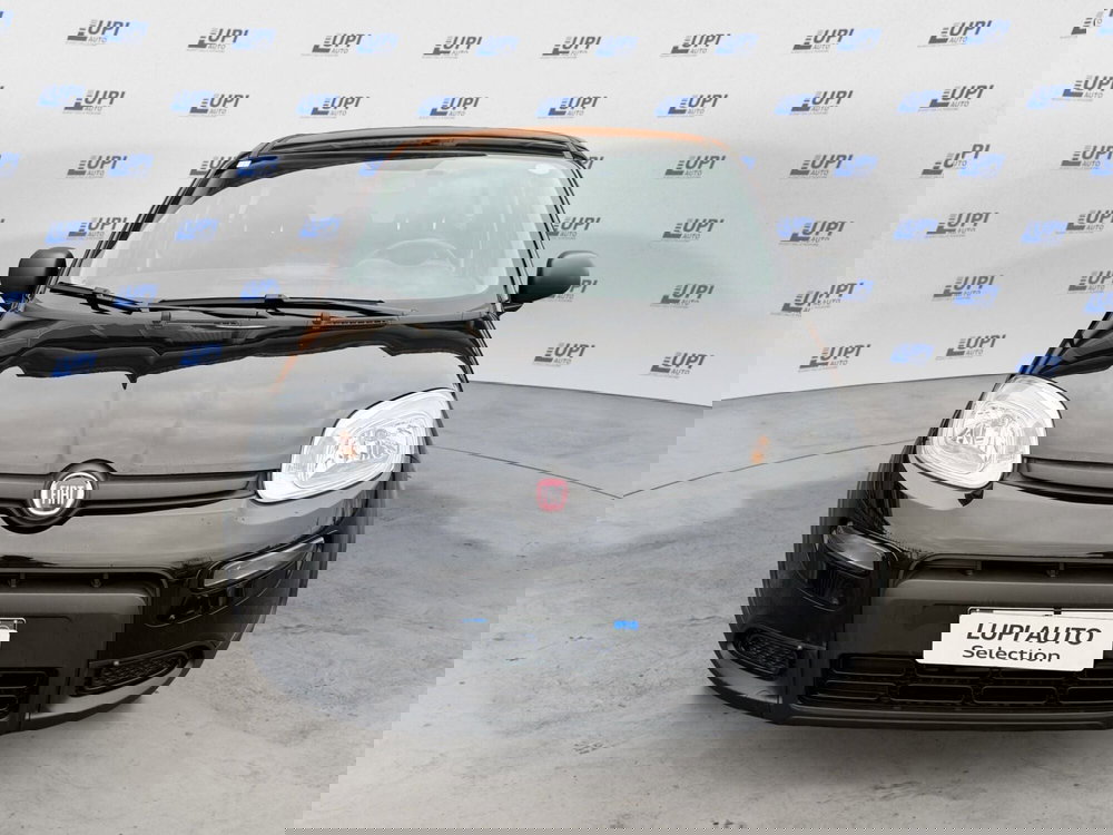 Fiat Panda usata a Pistoia (2)