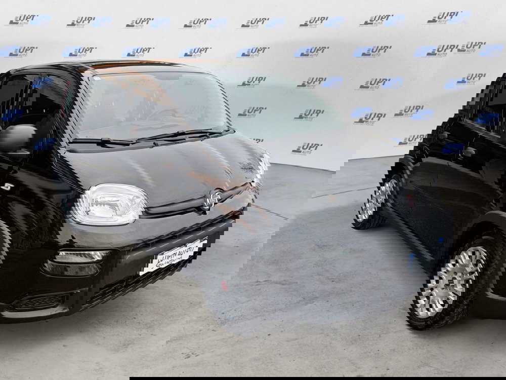 Fiat Panda usata a Pistoia (3)