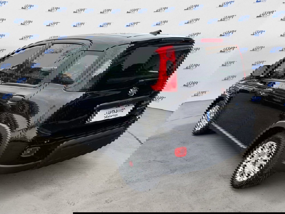 Fiat Panda usata a Pistoia (5)