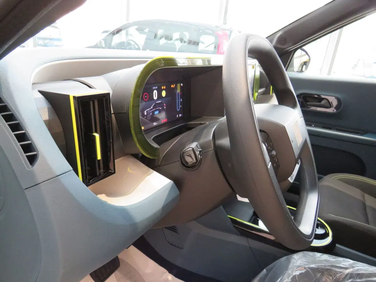 Fiat Grande Panda nuova a Monza e Brianza (10)
