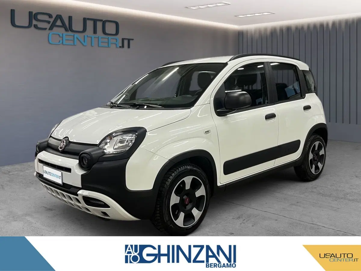 Fiat Panda usata a Bergamo