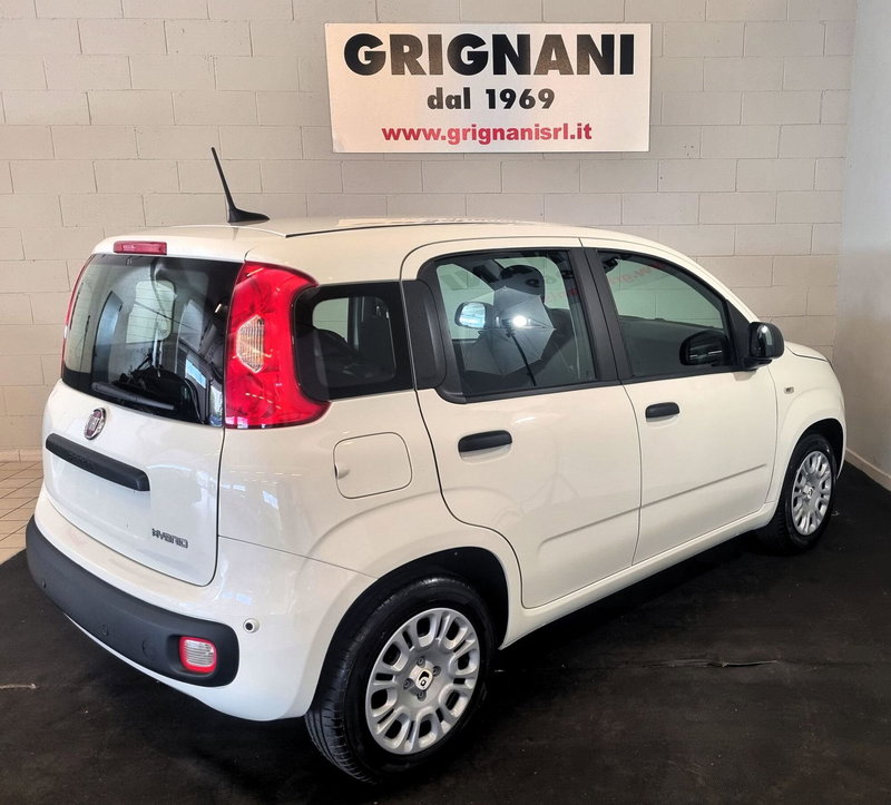 Fiat Panda Cross nuova a Pavia (17)